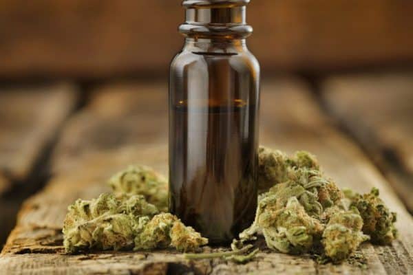 Quelle est l’importance du CBD ?