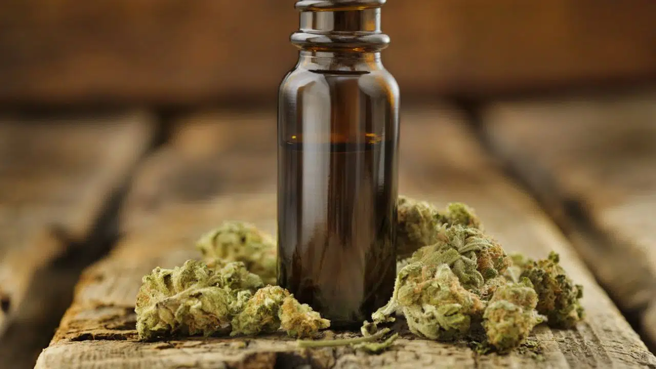 Quelle est l’importance du CBD ?