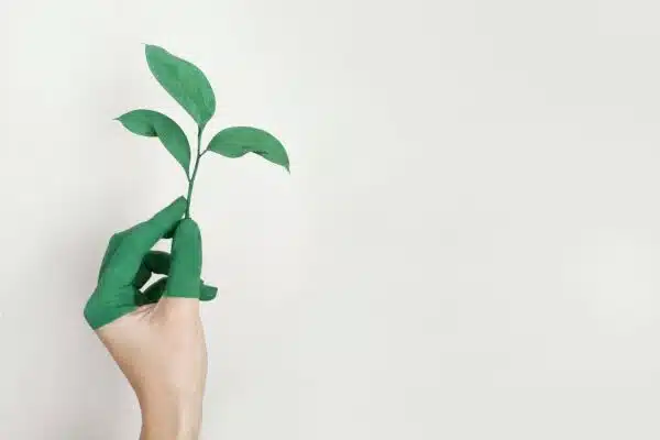 L’approche du marketing vert : les clés d’une communication éthique et engagée