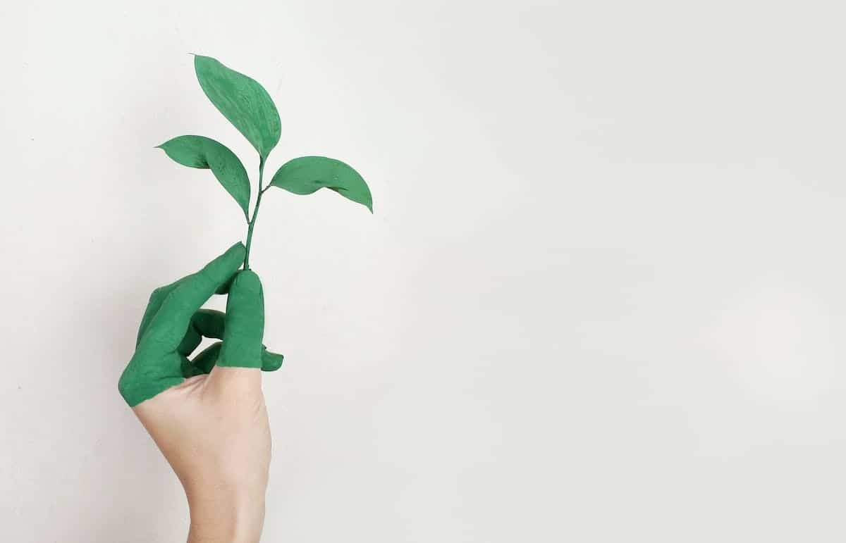 L’approche du marketing vert : les clés d’une communication éthique et engagée